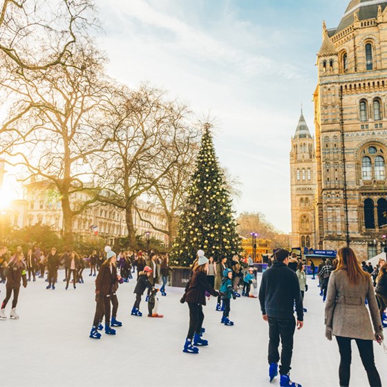 Winter Skating