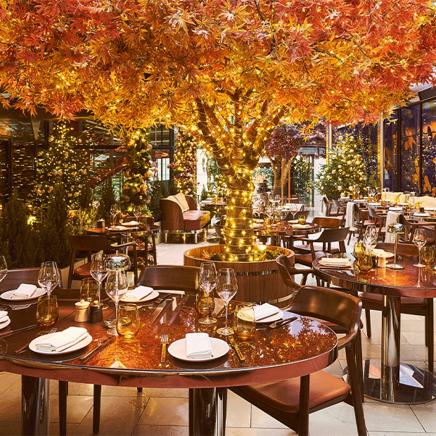 Festive restaurant dining room with a glowing autumn tree centerpiece and tables set with glassware and linens.