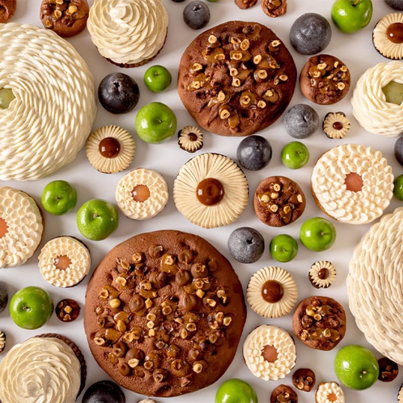 An elegant display of assorted pastries and desserts, arranged artfully with contrasting textures, featuring chocolate, cream, and nut toppings, alongside vibrant green and black fruits.