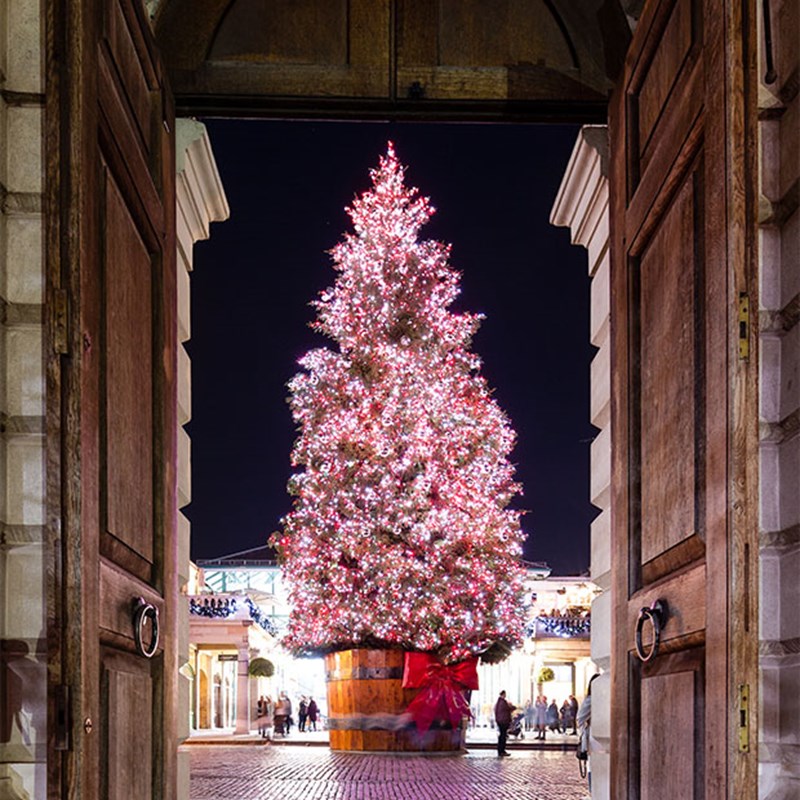 A towering Christmas tree illuminated with pink and white lights stands framed by grand wooden doors, adding to the festive ambiance.