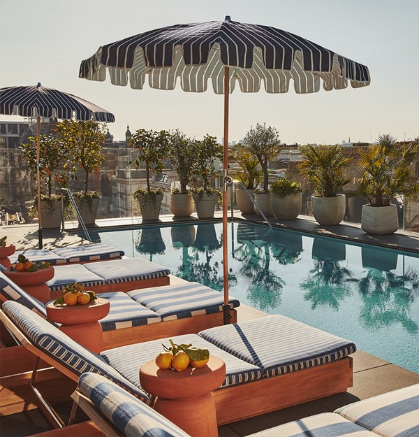 Rooftop pool area with striped sun loungers, parasols, potted citrus trees, and city views under a clear sky.