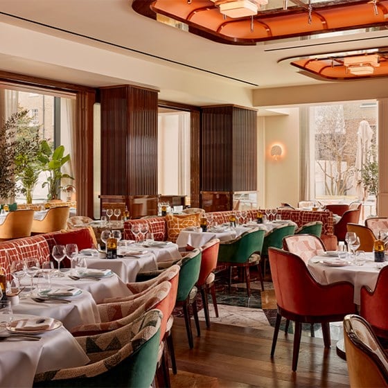 the restaurant’s sophisticated dining space, highlighting its thoughtfully curated design, where natural light filters through floor-to-ceiling windows, complementing the vibrant yet tasteful décor.