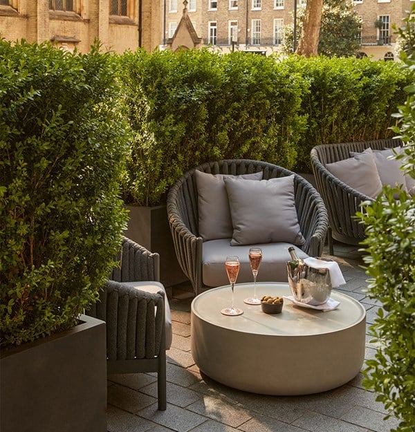 Cosy outdoor seating area at The Berkeley Bar & Terrace, with two glasses of rosé, a bowl of olives, and a champagne bucket on a circular table surrounded by greenery.
