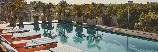 Sunlit rooftop pool with striped loungers, lush potted plants, and a glass barrier overlooking a cityscape and treetops.