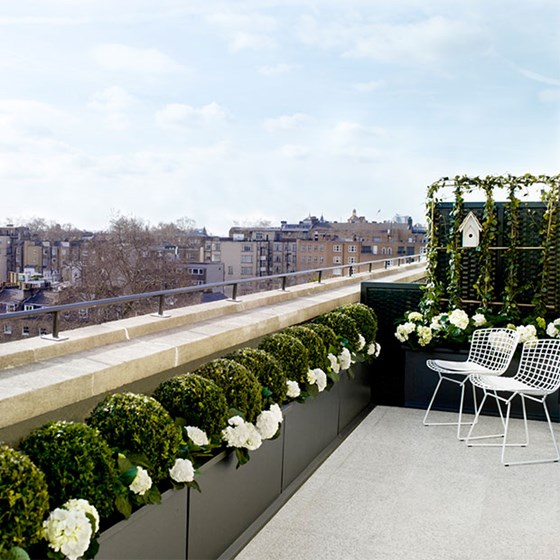 Balcony Junior Suite