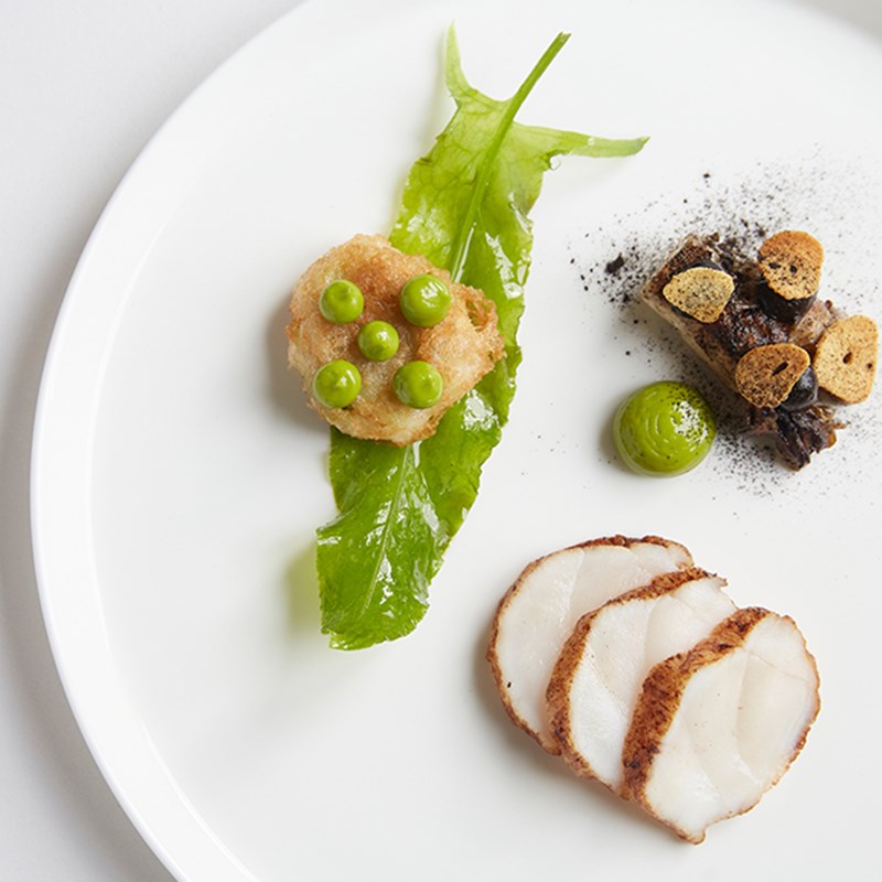 A dish with different food elements beautifully laid on the plate.