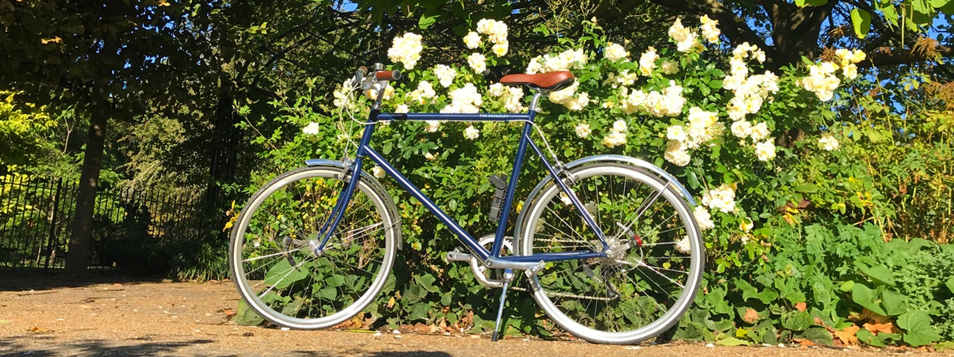 Blue colour, custom-made tokyobike - Berkeley Bike in front of white roses, great for riding on many routes in the parks.