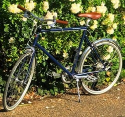Berkeley Bikes